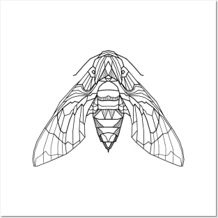 Geometric moth Posters and Art